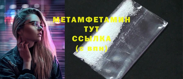 прущие грибы Мурманск