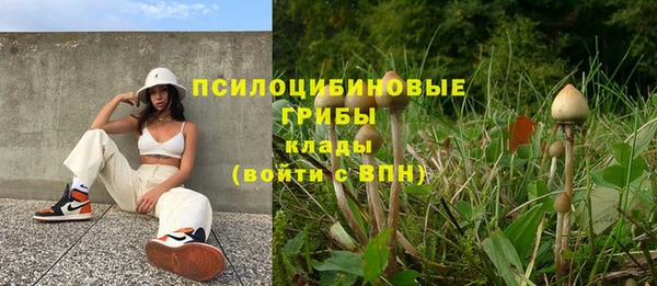 герыч Нягань